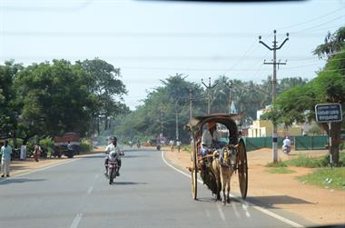 On Route Thekkady to Madurai,_DSC_7695_H600